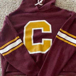 forveer 21 cropped hoodie